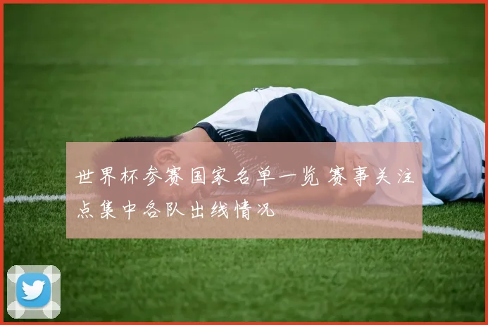 世界杯参赛国家名单一览 赛事关注点集中各队出线情况