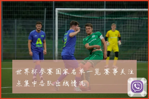 世界杯参赛国家名单一览 赛事关注点集中各队出线情况
