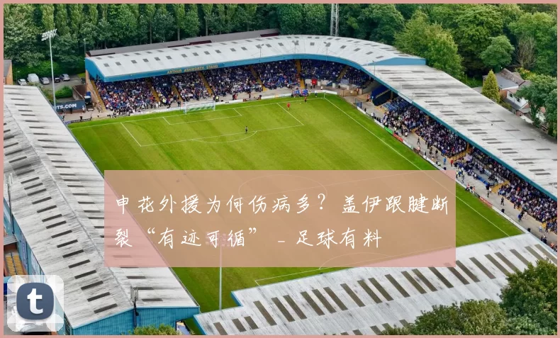 申花外援为何伤病多？盖伊跟腱断裂“有迹可循” _ 足球有料