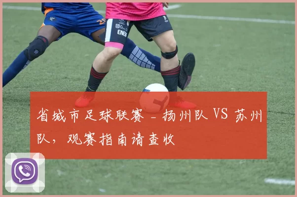 省城市足球联赛 _ 扬州队 VS 苏州队，观赛指南请查收