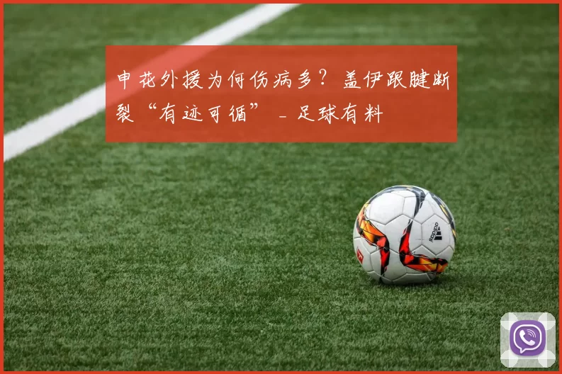 申花外援为何伤病多？盖伊跟腱断裂“有迹可循” _ 足球有料