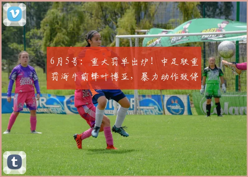 6月5号:重大罚单出炉!中足联重罚海牛前锋叶博亚,暴力动作致停赛4场、罚款4万?_客场_姚均晟_主场