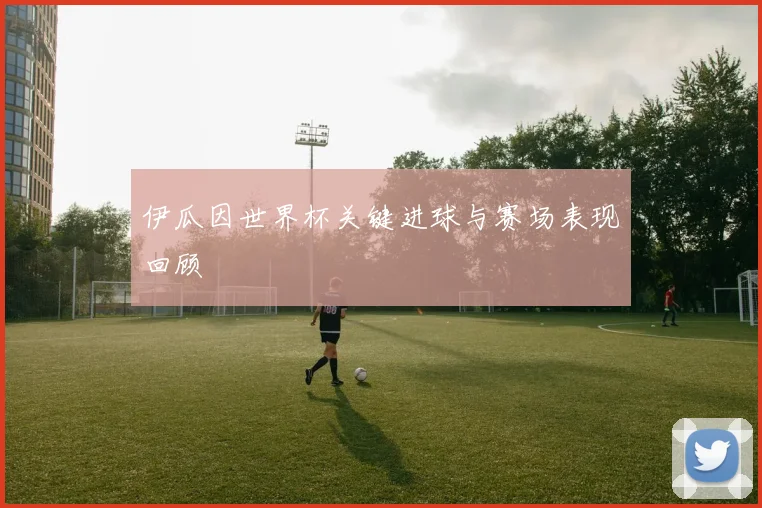 伊瓜因世界杯关键进球与赛场表现回顾