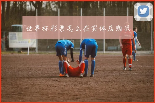 世界杯彩票怎么在实体店购买