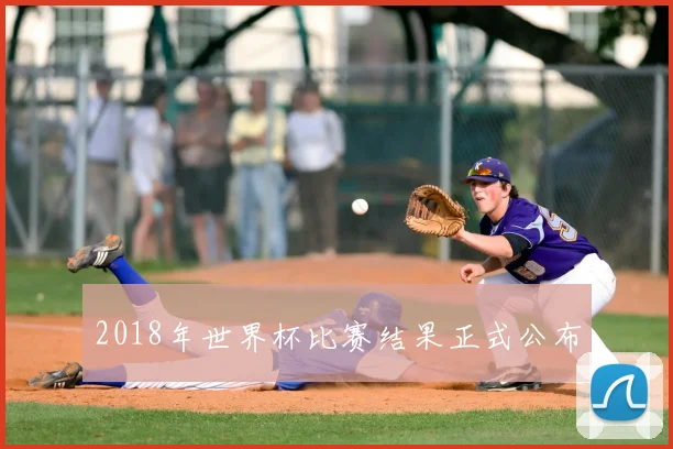 2018年世界杯比赛结果正式公布
